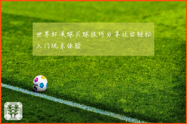 世界杯滚球买球技巧分享让你轻松入门玩乐体验
